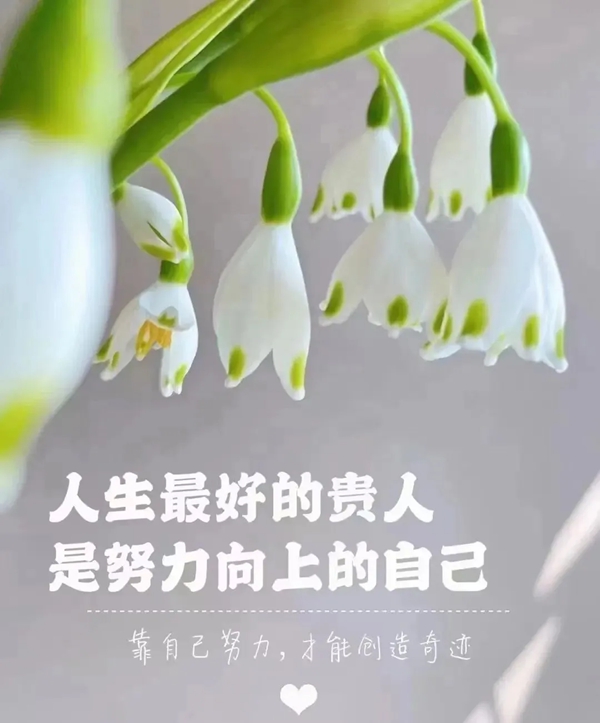 丽水市环境友好产业协会